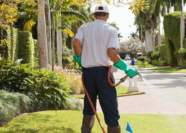 About Rochester VT Pest Control